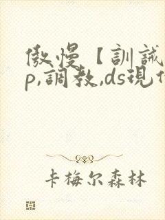 傲慢【训诫,sp,调教,ds现代家奴