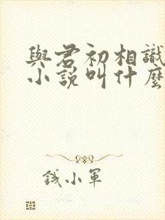 与君初相识原著小说叫什么