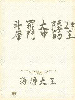 斗罗大陆2绝世唐门中的王冬