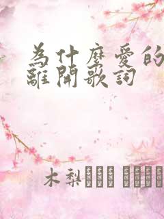 为什么爱的人先离开歌词