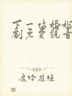 下一站婚姻电视剧免费观看全集完整版