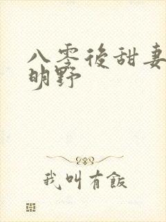 八零后甜妻灿若明野