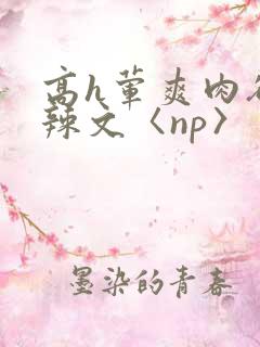 高h荤爽肉欲文辣文〈np〉