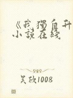 《我独自升级》小说在线