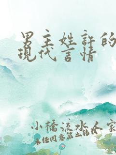 男主姓许的小说现代言情