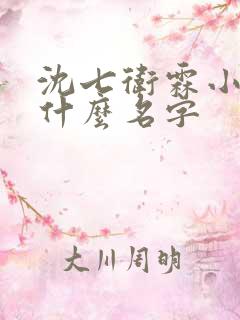 沈七卫霖小说叫什么名字