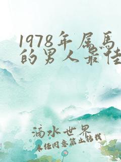 1978年属马的男人最佳配偶