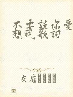不要说你爱我你想我歌词