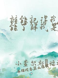 谁能记得我谁又能了解我是什么歌