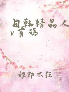 日韩精品人妻av有码