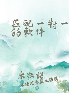 匹配一对一聊天的软件