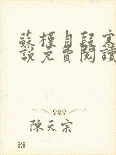 苏槿月段寒忱小说免费阅读全文最新