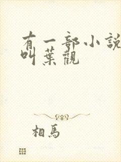 有一部小说主角叫叶观