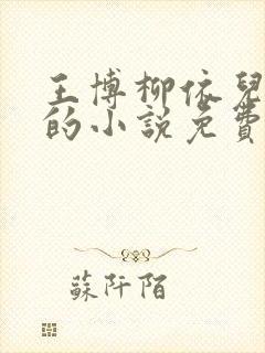 王博柳依儿主角的小说免费阅读