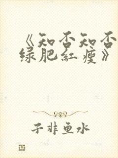 《知否知否应是绿肥红瘦》免费观看