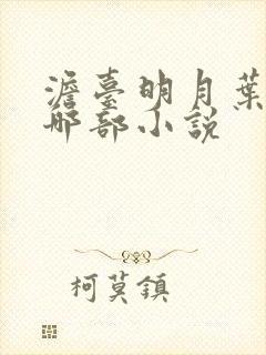 澹台明月叶玄是哪部小说