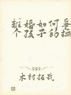 离婚如何争取两个孩子的抚养权