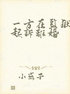 一方在监狱如何起诉离婚