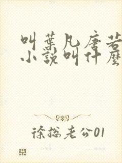 叫叶凡唐若雪的小说叫什么名字