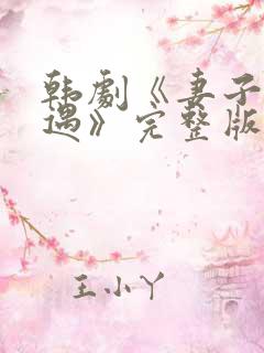 韩剧《妻子的外遇》完整版在线播放