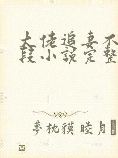 大佬追妻不择手段小说完整版本