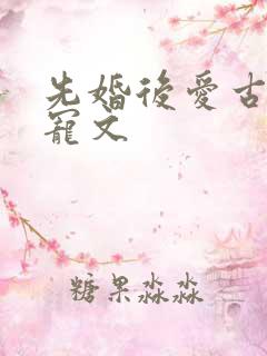 先婚后爱古言甜宠文