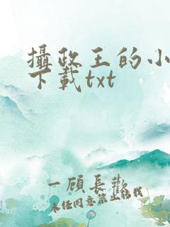 摄政王的小闲妻下载txt