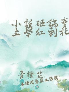 小说砸锅卖铁去上学红刺北免费全本阅读