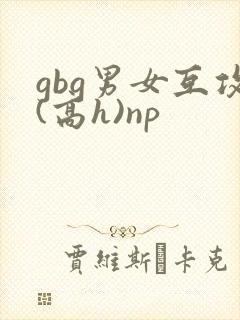 gbg男女互攻(高h)np