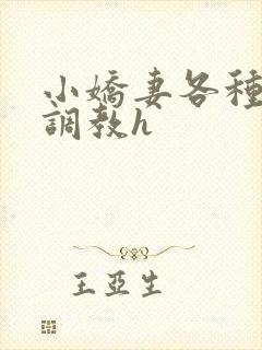 小娇妻各种姿势调教h