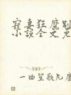 宠妻狂魔别太坏小说全文免费阅读