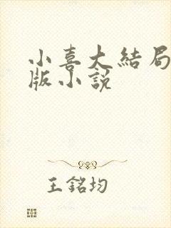 小喜大结局完整版小说