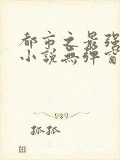 都市之最强仙医小说无弹窗