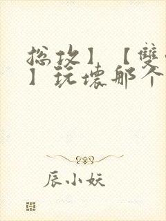 总攻】【双性攻】玩坏那个攻