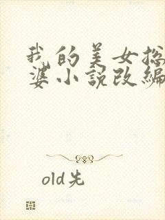 我的美女总裁老婆小说改编