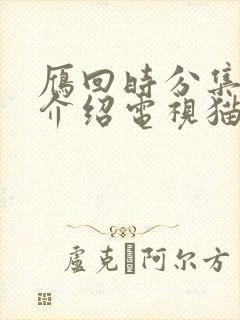 雁回时分集剧情介绍电视猫