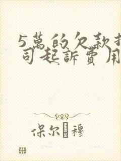 5万的欠款打官司起诉费用