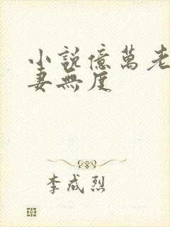 小说亿万老公宠妻无度