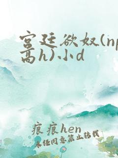 宫廷欲奴(np高h)小d