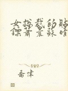 女总裁的贴身保镖萧晨苏晴