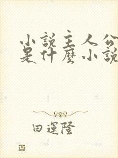 小说主人公叶凡是什么小说名