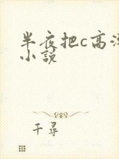 半夜把c高潮了小说