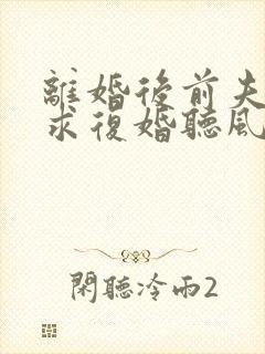 离婚后前夫哭着求复婚听风说雾正版