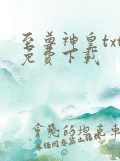 至尊神皇txt免费下载