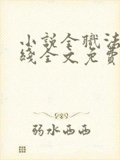 小说全职法师在线全文免费阅读