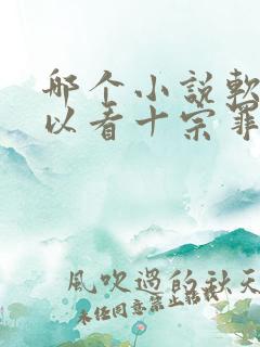 哪个小说软件可以看十宗罪