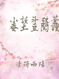 小说斗破苍穹天蚕土豆阅读