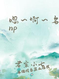 嗯～啊～名器～np