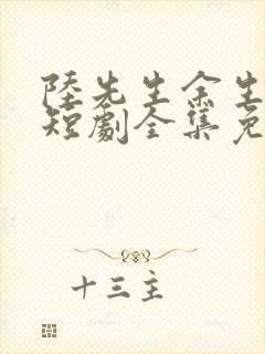 陆先生余生不见短剧全集免费观看