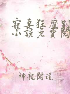 宠妻狂魔别太坏小说免费阅读